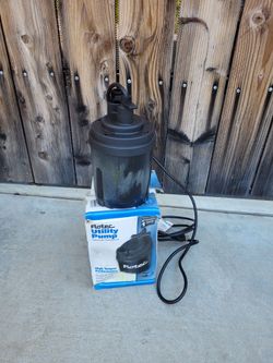 Flotec 1/6 HP Utility Pump