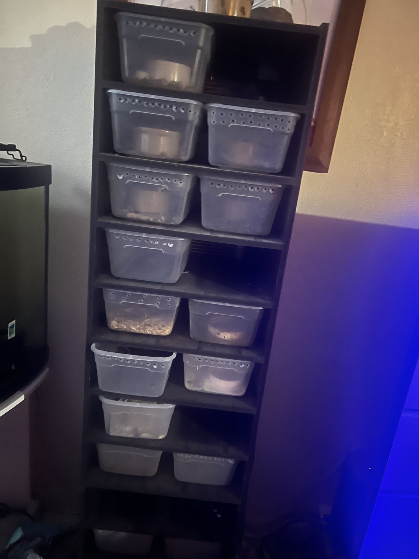 Snake Rack