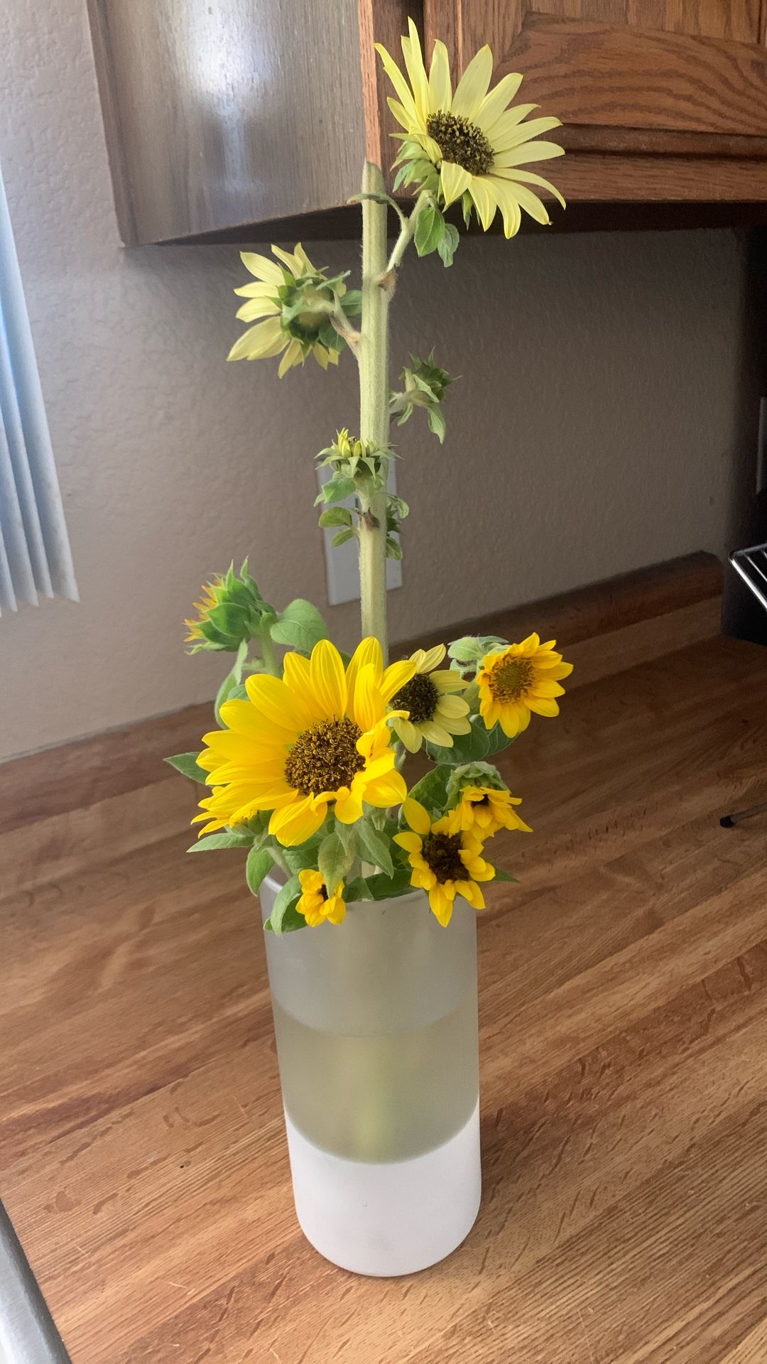 Fresh Sunflower Arrangement