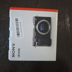 Sony A6100 Mirrorless Camera 