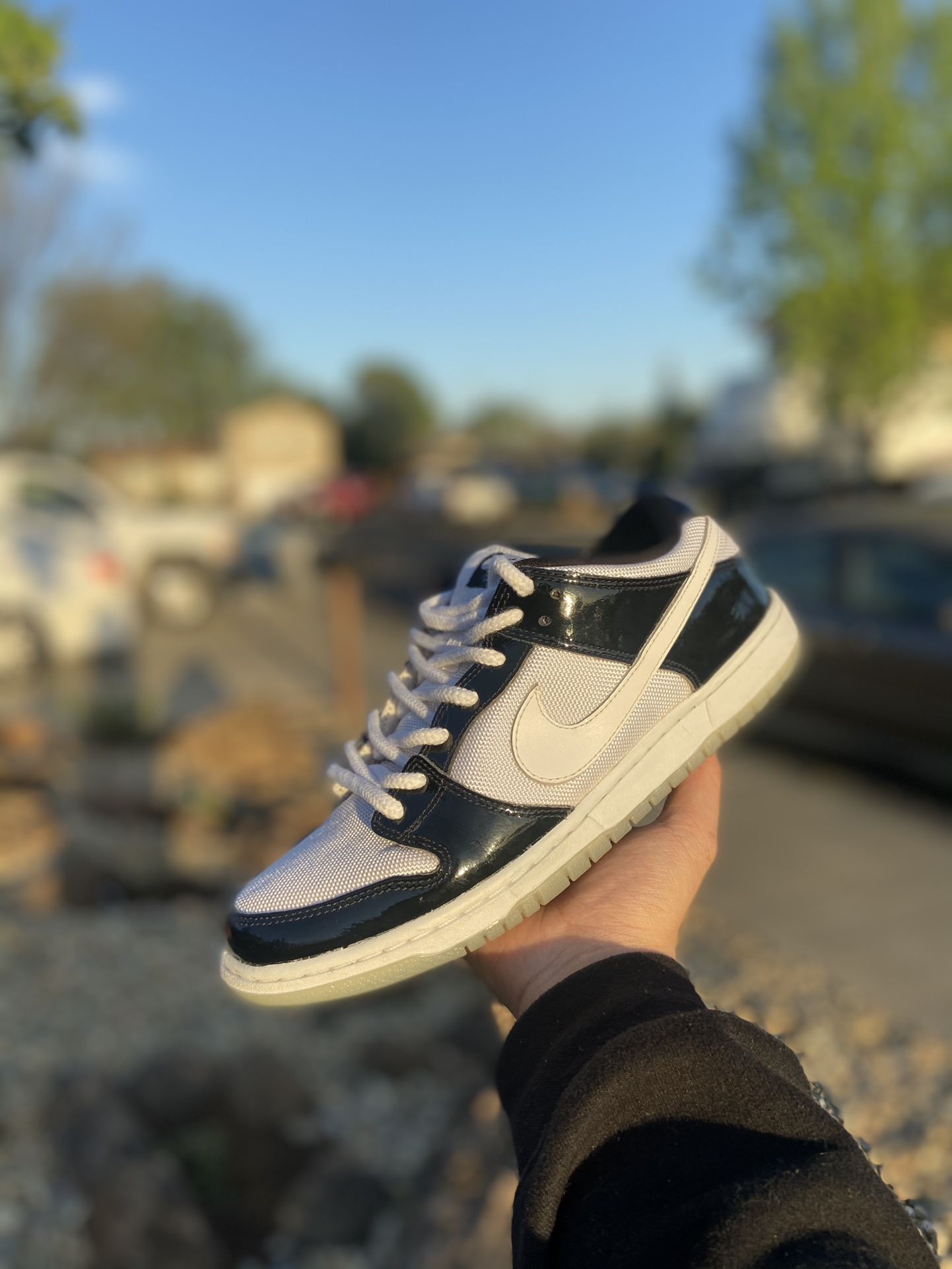 Nike Dunk Low Sb Concord