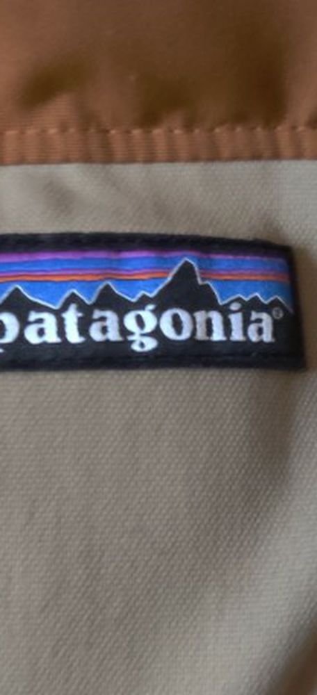 Patagonia Men Vest