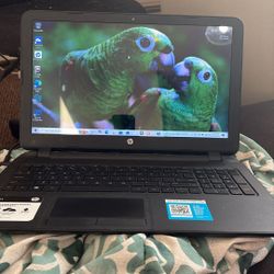 Hp Laptop 