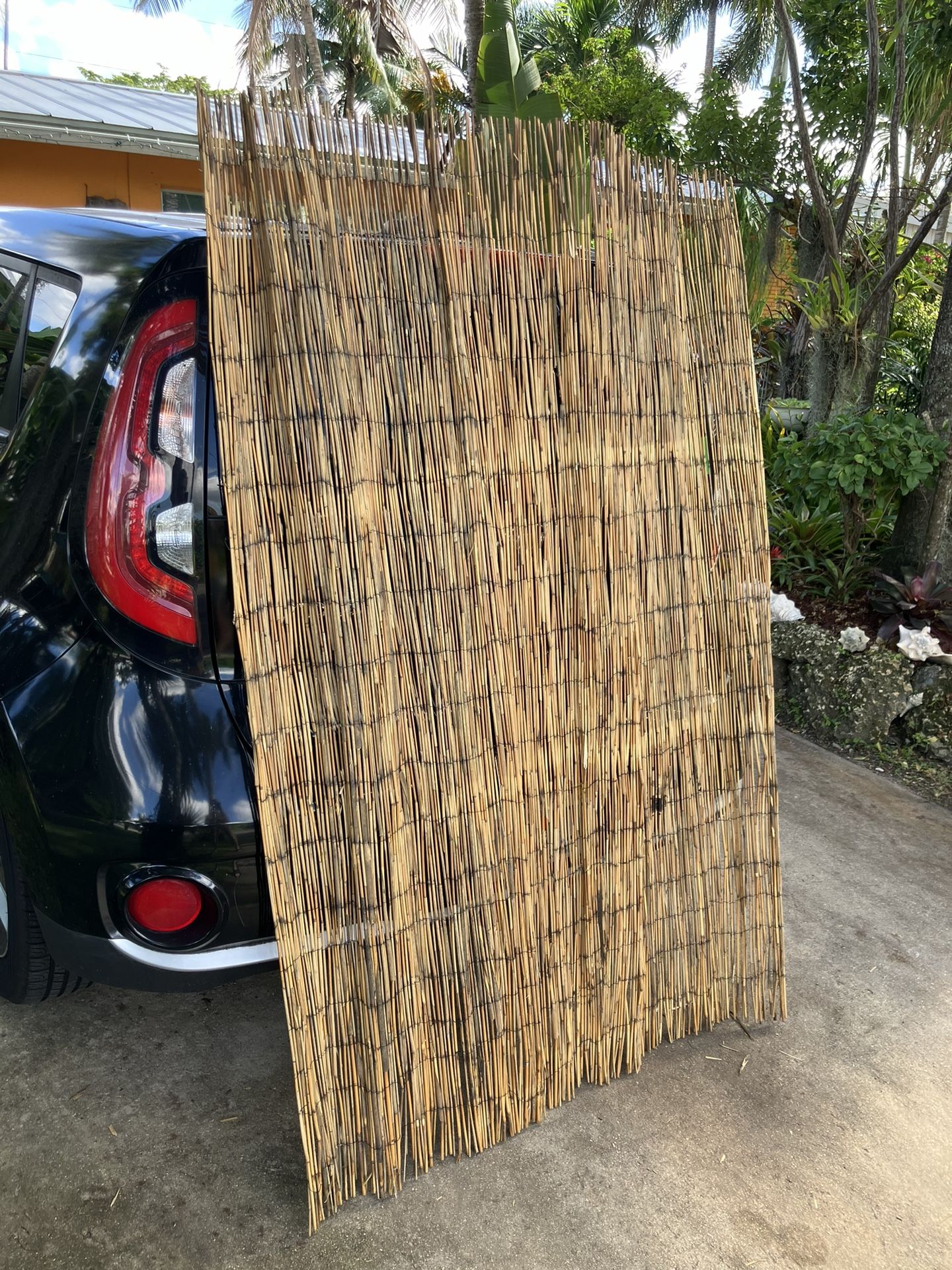 Bamboo Reed Fencing: 4’W x 6’H