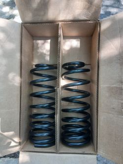 Suspension coils