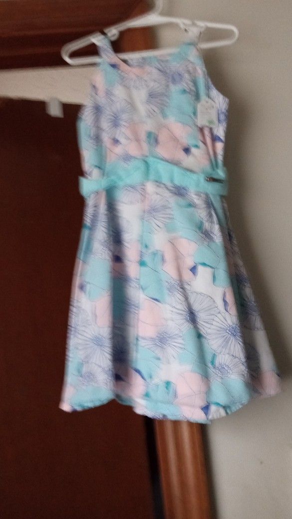 Peppermint Sundress Size 5-6  /$10.00