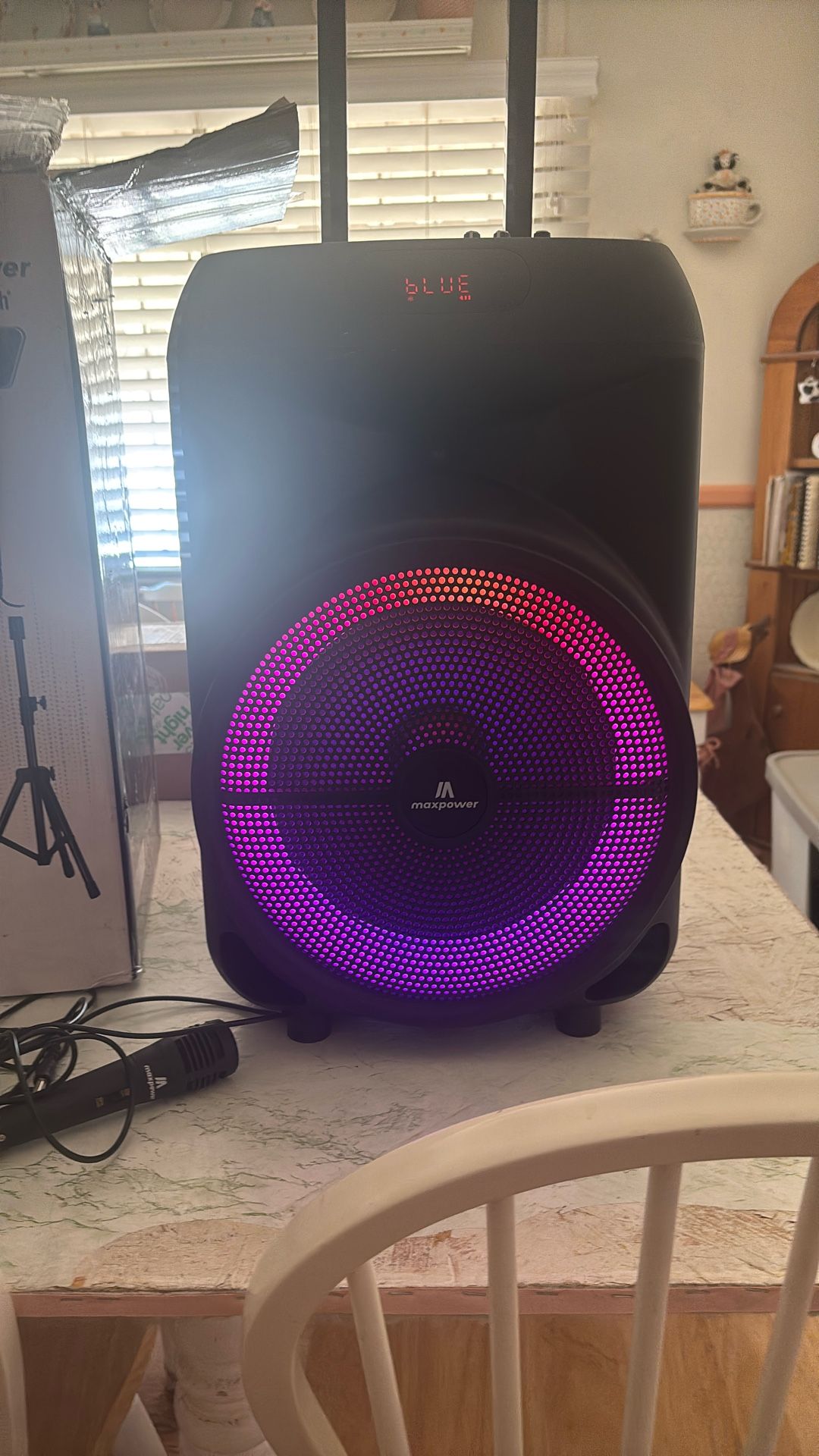 12” Bluetooth Speaker