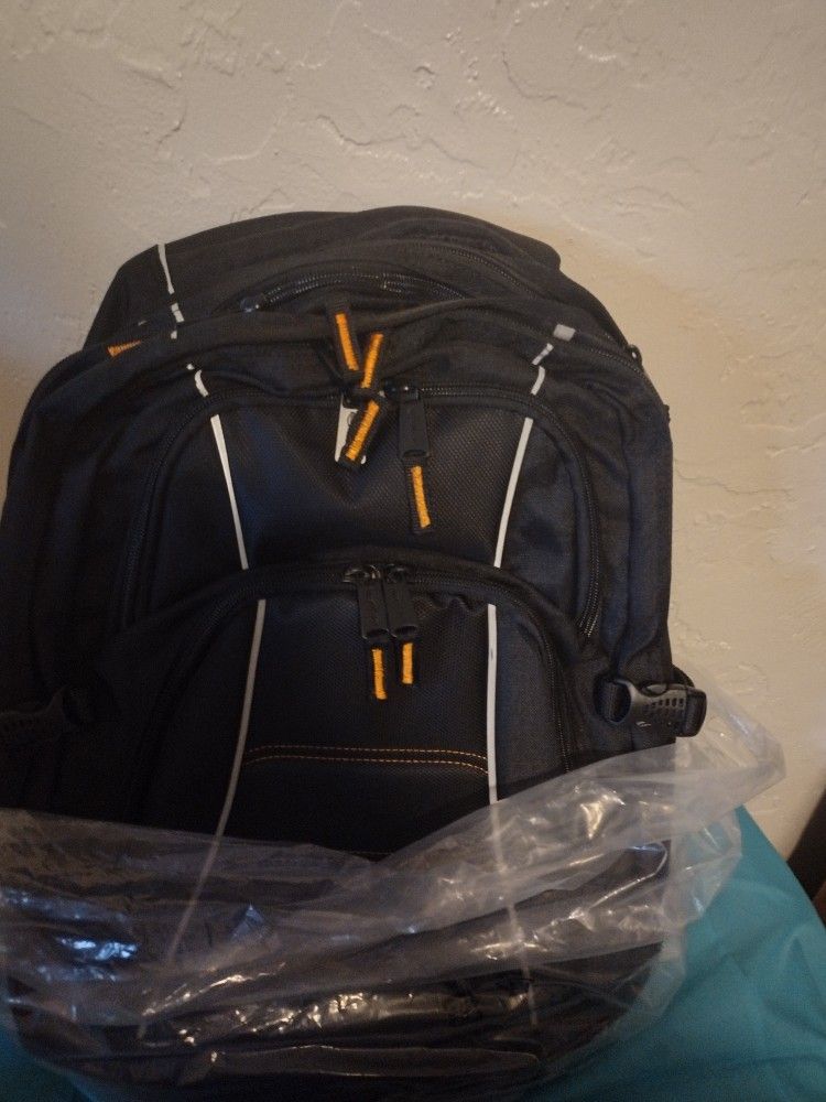 2 Amazonbasics Laptop Backpacks