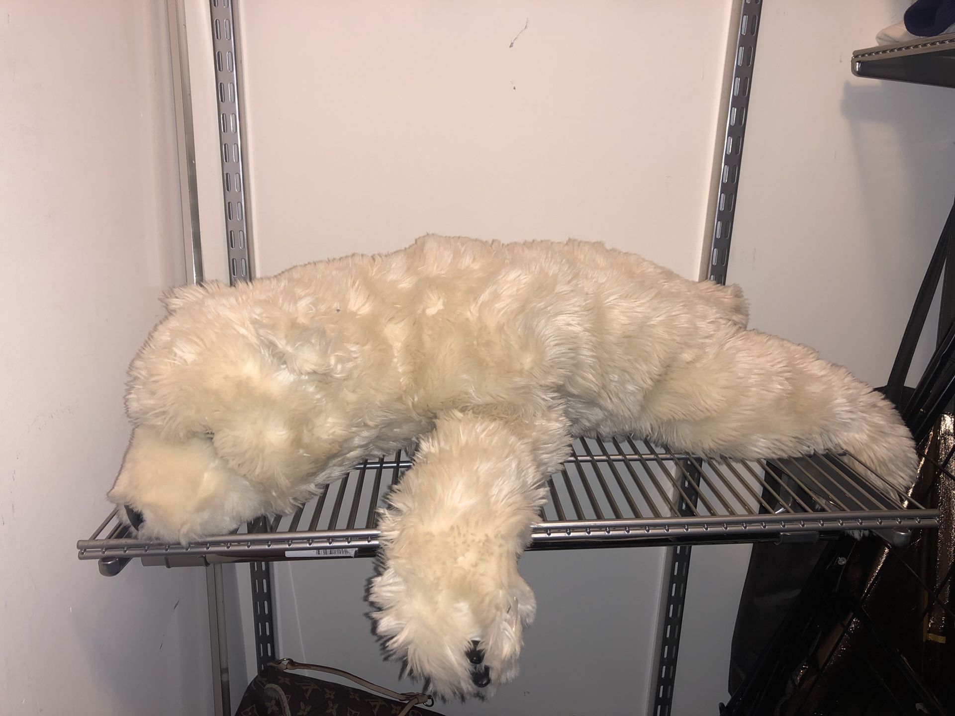 Big Teddy Bear