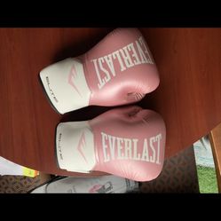 Everlast Elite Pro Style Training Gloves NEW