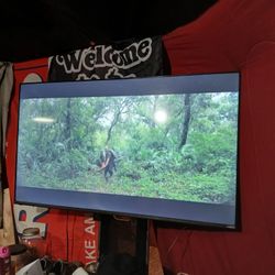 50 Inch Vizio Smart TV With Remote