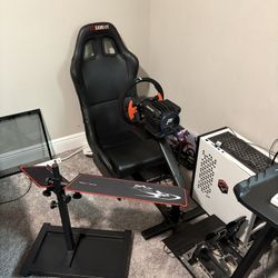 Fanatec Racing Simulator