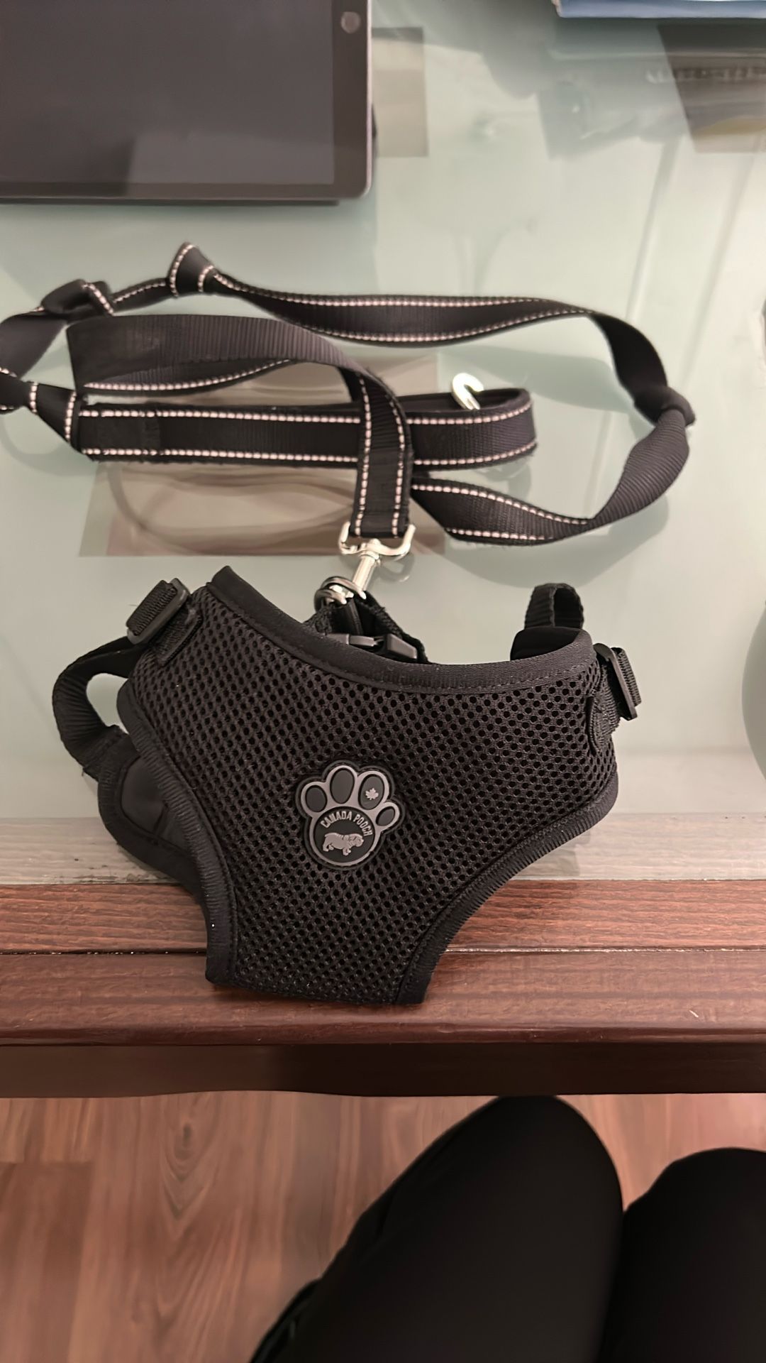 Canada Pooch Harness And Leash