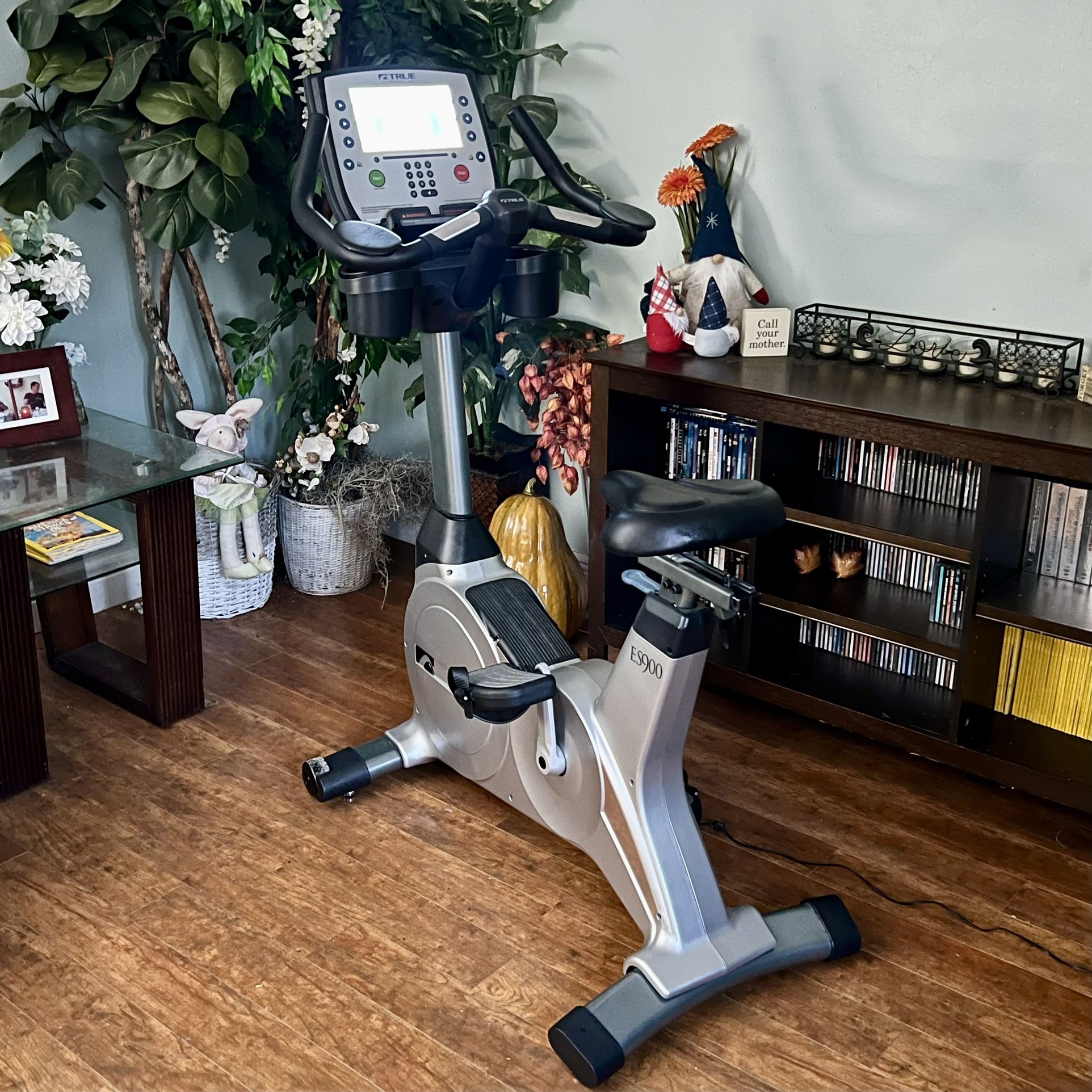 True Fitness Es900 Recumbent Bike True Es900 Bike Recumbent Bikes