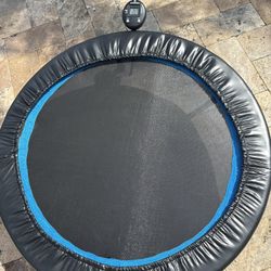 Fitness Trampoline 
