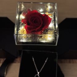 Beautiful Preserved Rose With Necklace 