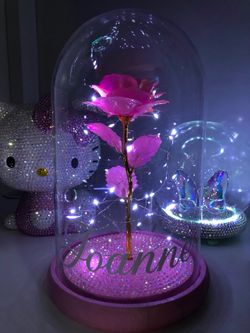 New Pink Rose in Glass Dome