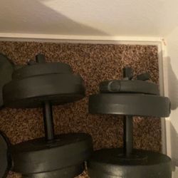 Two 20 Pound Adjustable Dumbbells 