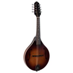Mandolin  The Loar A Style Solid Top