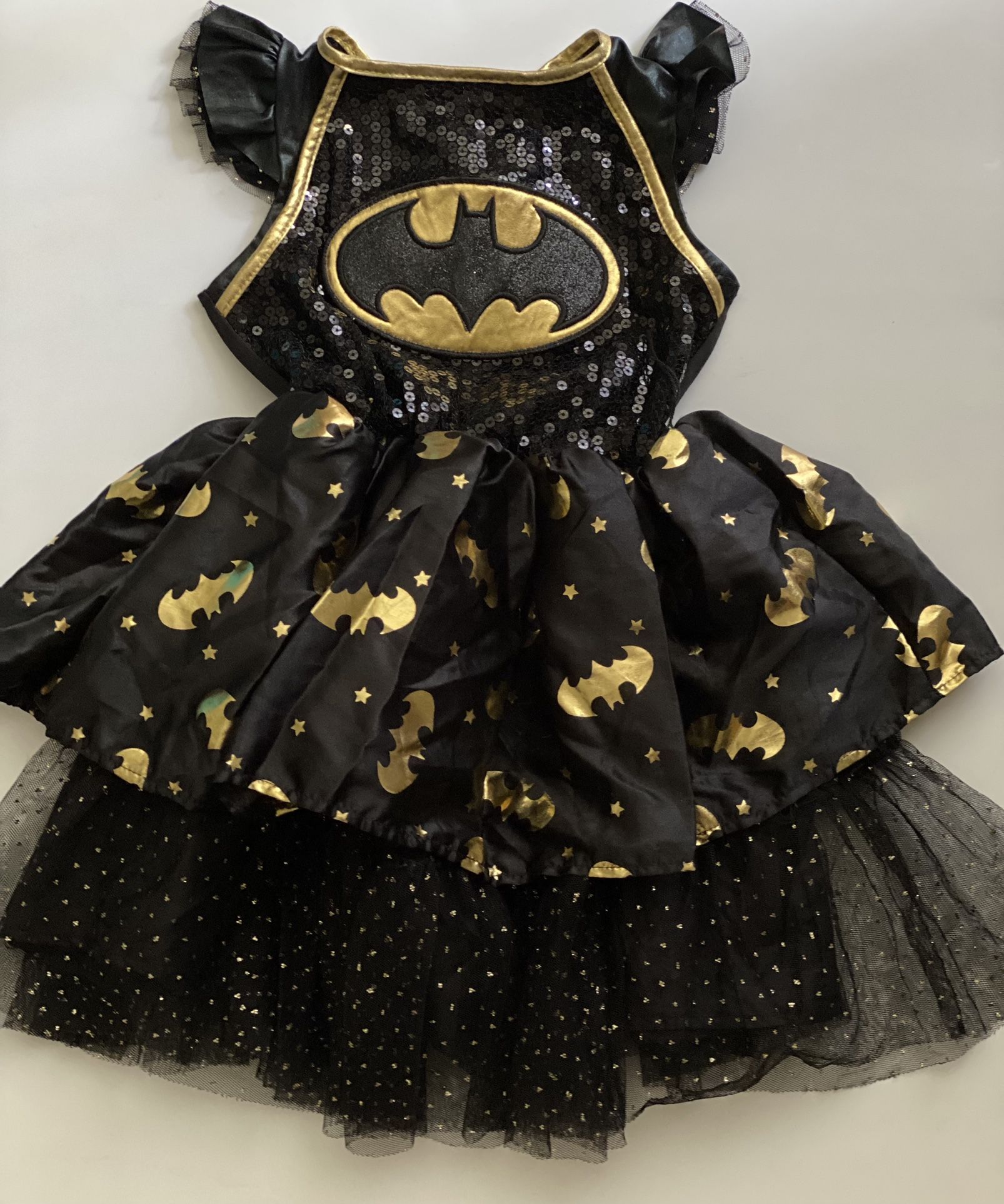 Batgirl Halloween Costume