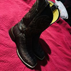Caiman Boots 