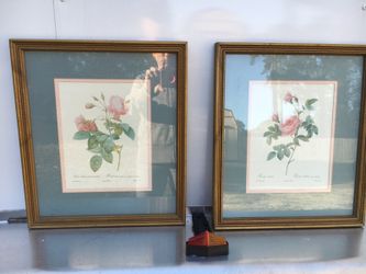 Beautiful Framed Pictures from Haynes