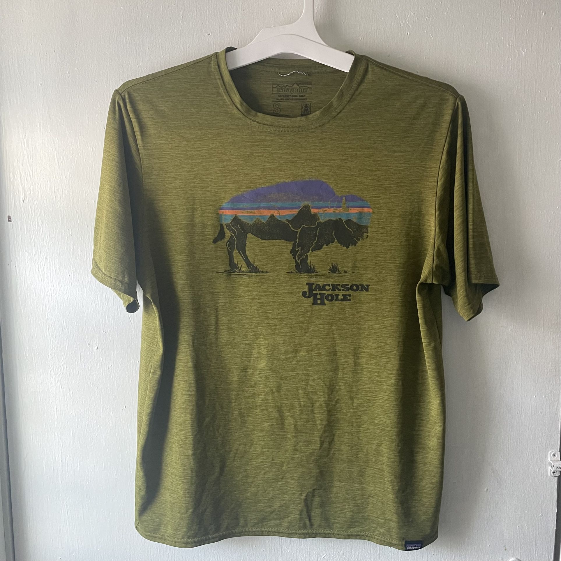 Patagonia Cool Daily “Jackson Hole” Men’s Small