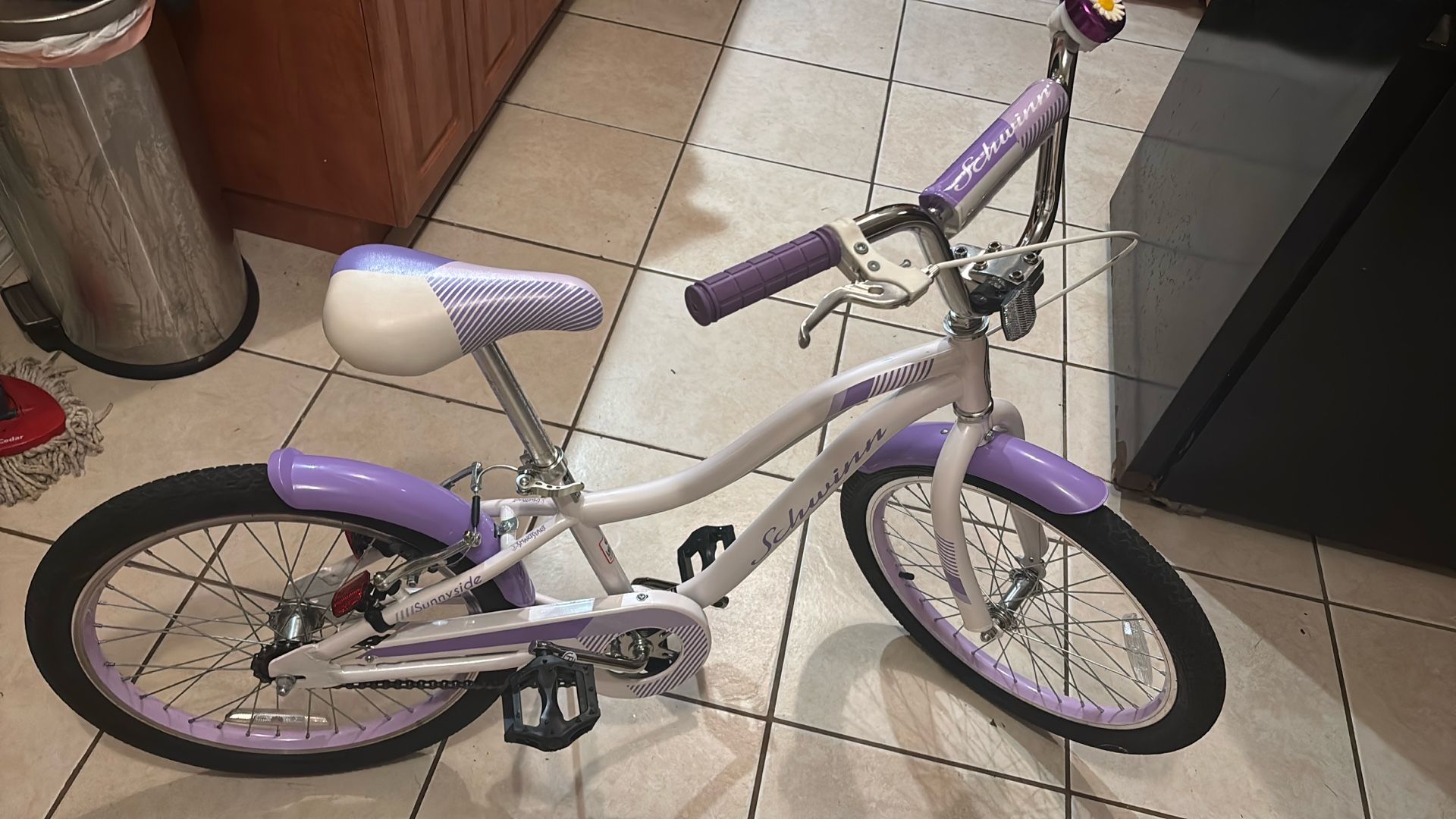 Schwinn Sunnyside 20 Inch. Used a few times. Excellent Outstanding shape
