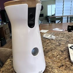Pet Camera And Feeder