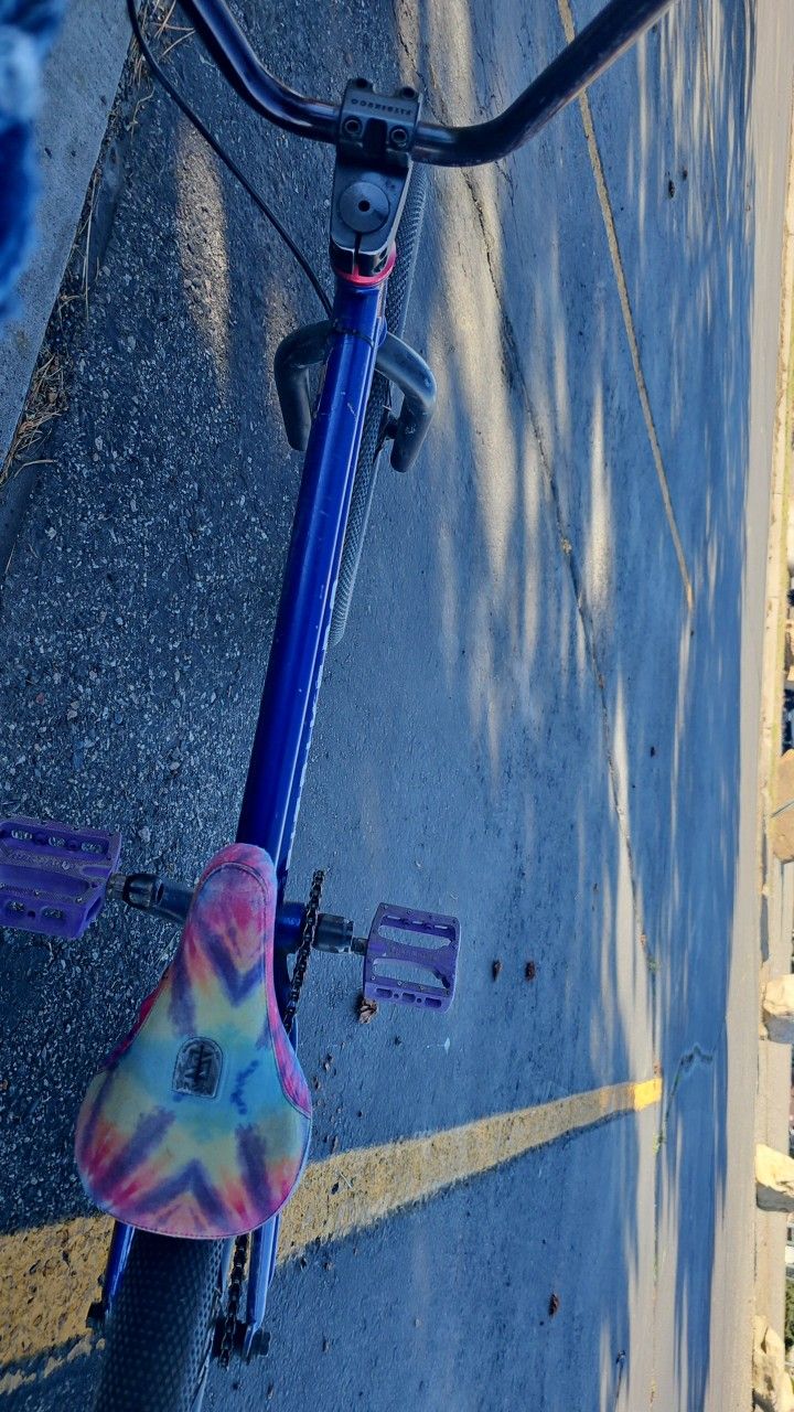 Fit Co Bike