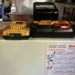 2 batteries and charger