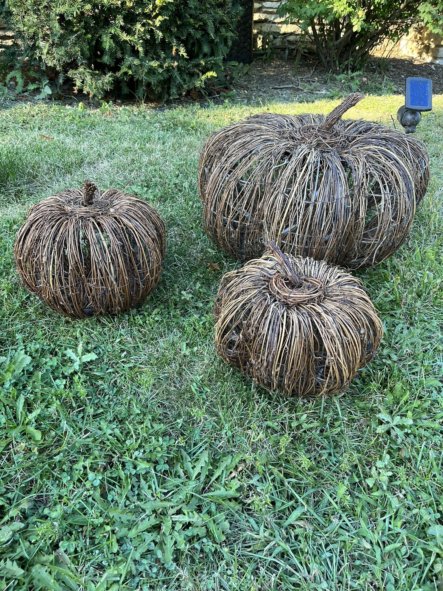 Set of three large wicker outside pumpkins