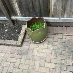 Green Planter 