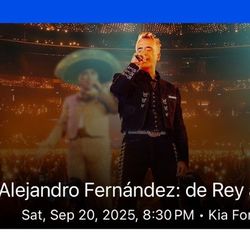 Alejandro Fernandez Concert 