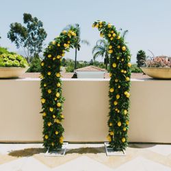 Beautiful Lemon Stands For Sale 