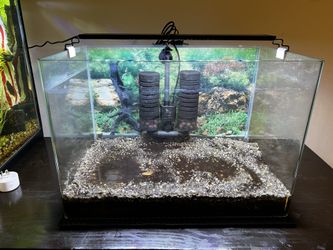 15 Gallon Rimless Perfect Fish Tank Set!