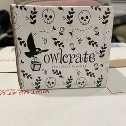 owlcrate - planter
