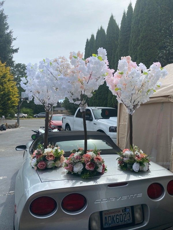 Great For Events Like Weddings Bdays Etc