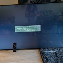 Vizio 39 Tesla 48 In Smart TV