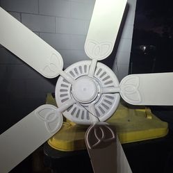 Ceiling  fan