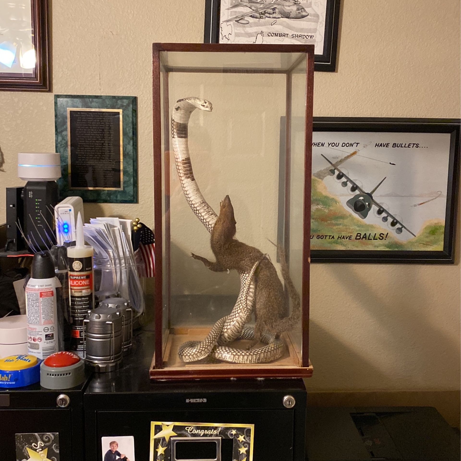 Stuffed Cobra And Mongoose In A Glass Case