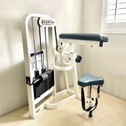 Cybex Ab Machine