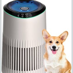 Air Purifiers for Bedroom Home, Air Purifier for Smoke Odors with Fragrance Sponge, Small Air Purifier with Sleep Mode for Bedroom Office, Blue Night 