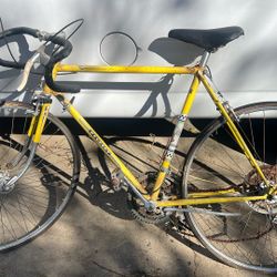 Vintage Bike