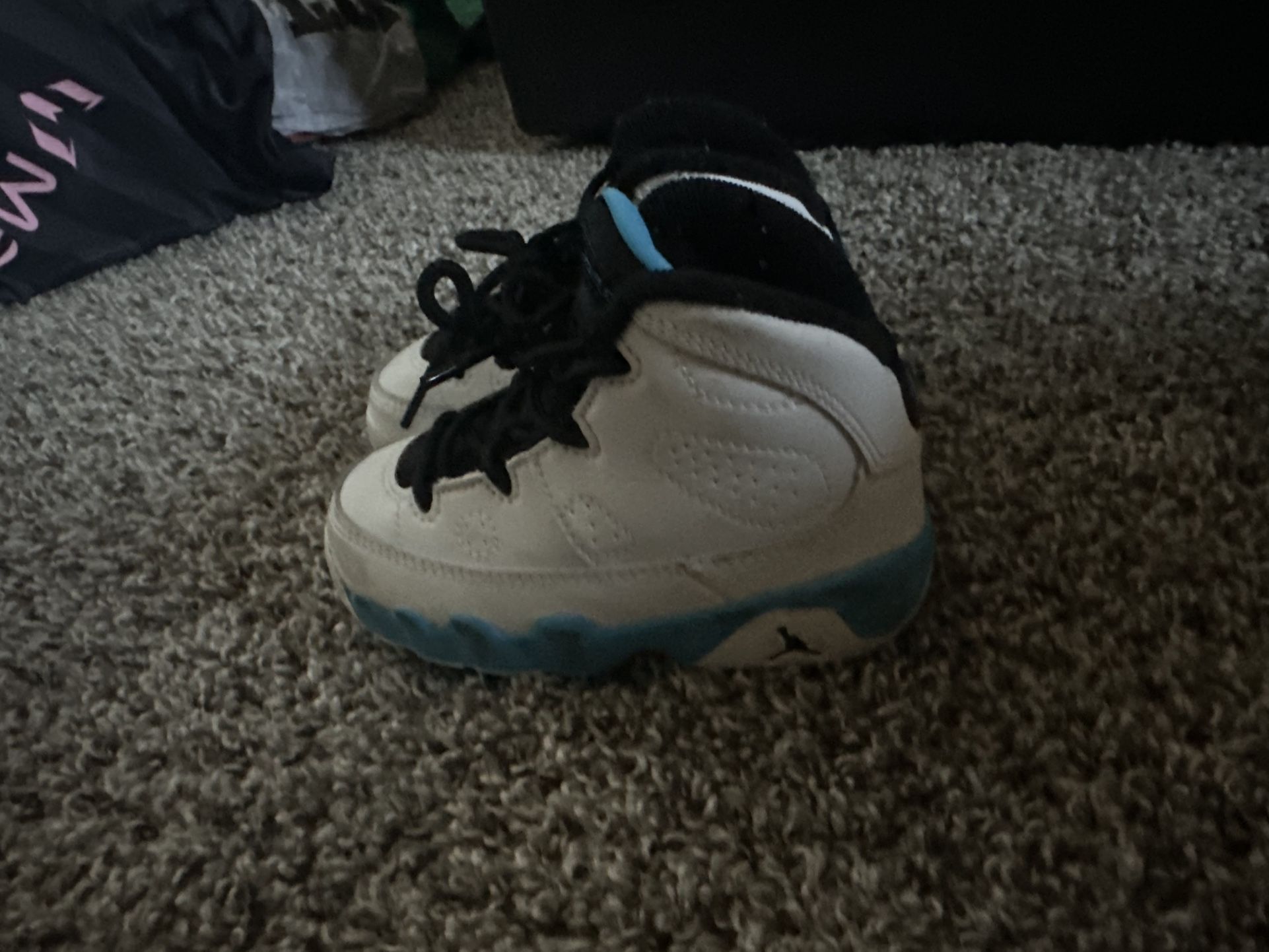 Air Jordan Toddler Retro 12’s
