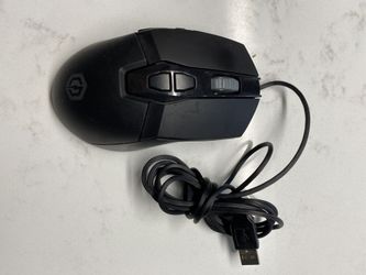 Mouse