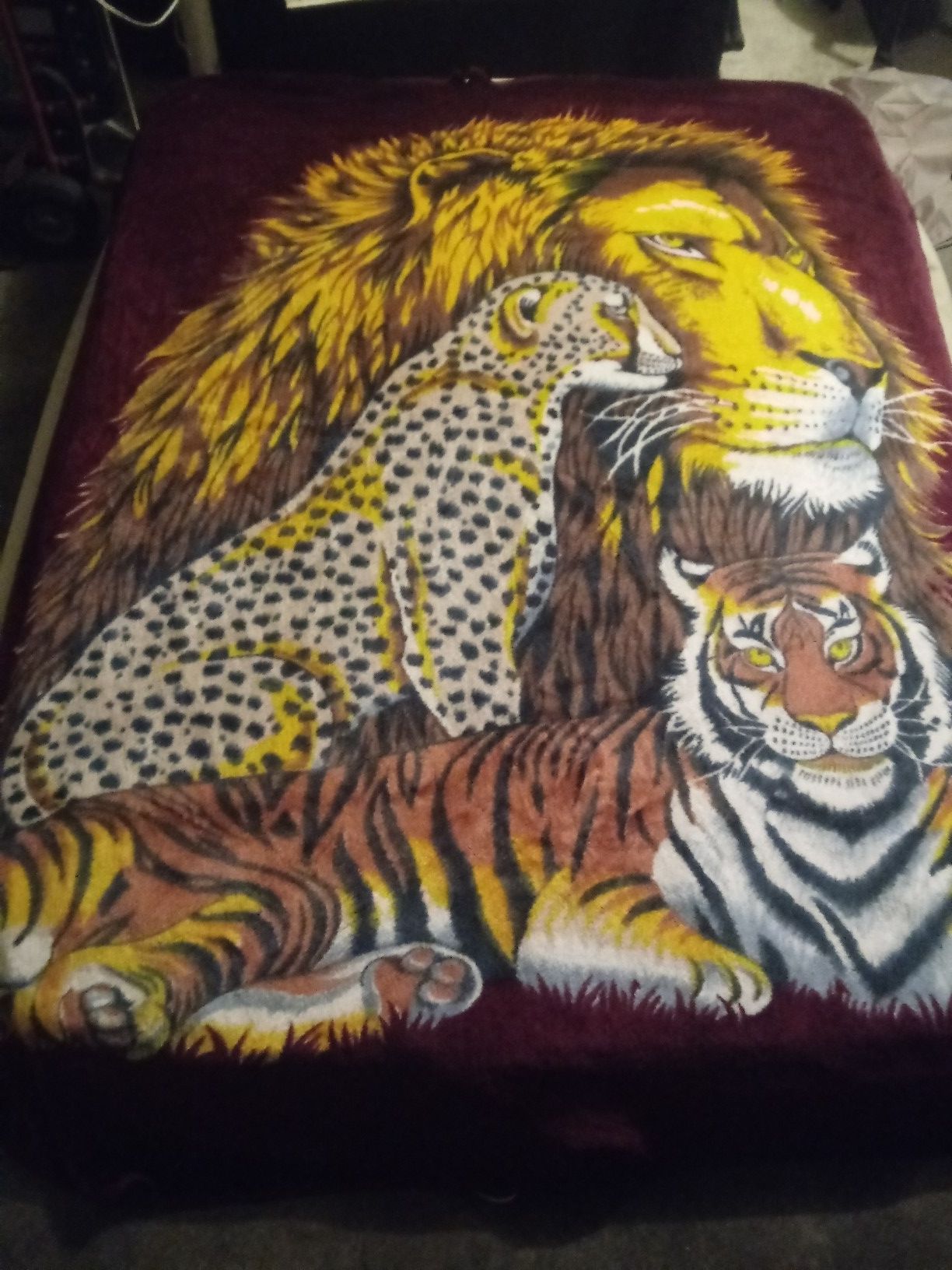 Pride Cat Family Blanket 84 x 72