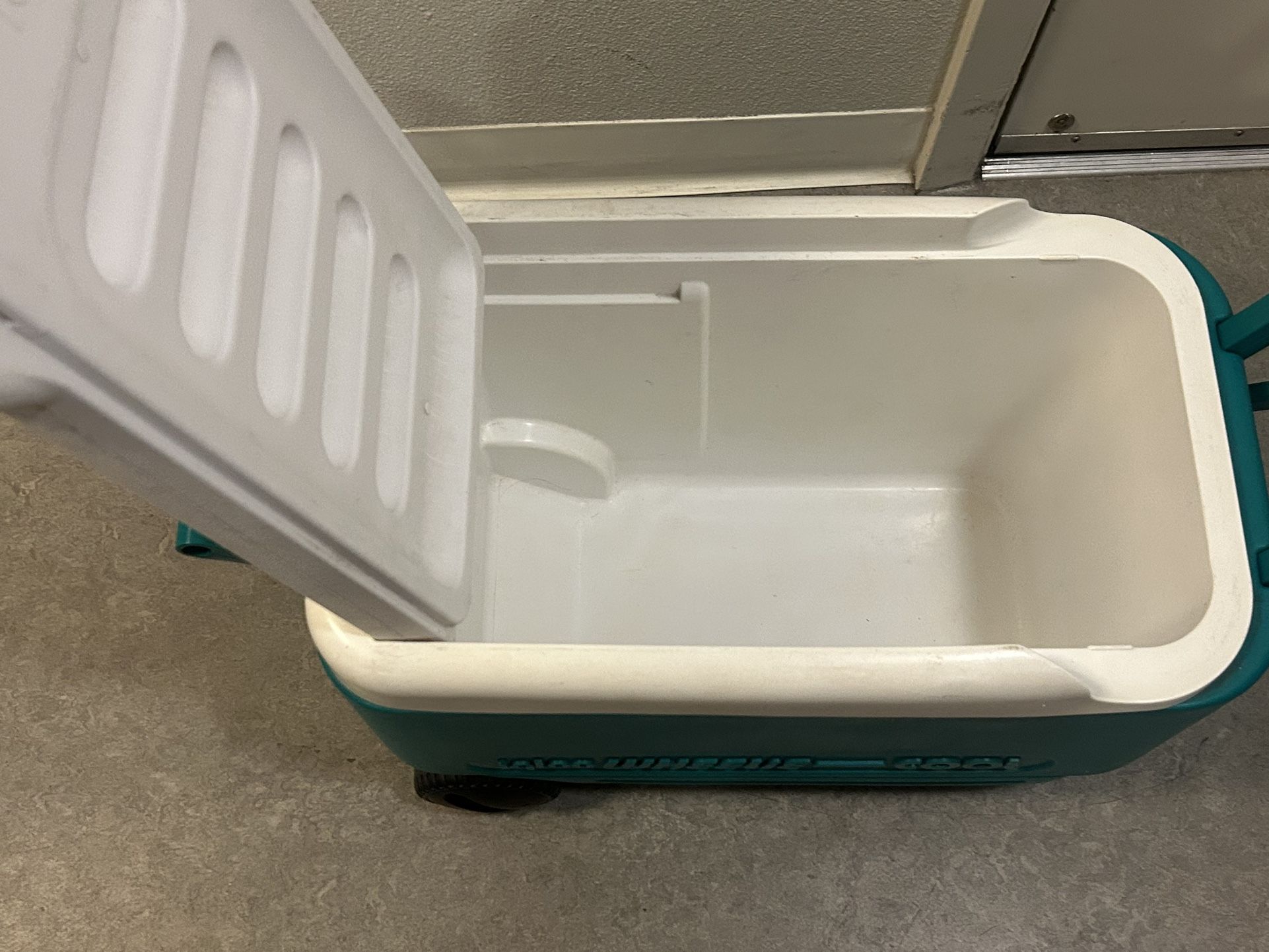 Igloo & Picnic Basket 🧺