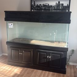Aquino Glass Aquarium size 210 with Cabinet OBO