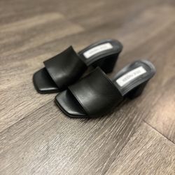 Steve Madden Sandals/heel 